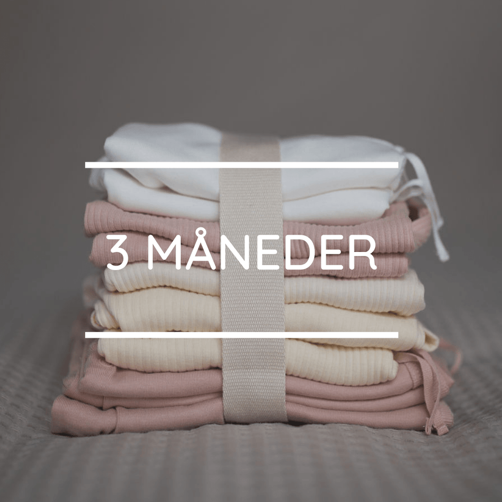 15 basisplagg nøytral og rosa - forhåndsbetalt 3 måneder - STASFORBARN